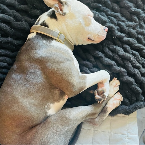 Meet your Posher, Tracey - Picture 5 of 10